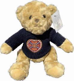 10" Navy Jumper Golf Teddy