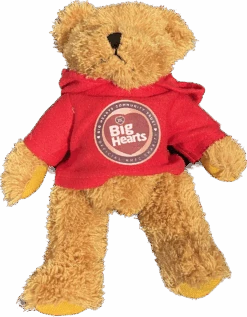 Big Hearts Teddy