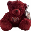 Maroon Teddy With Crest
