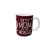 Best Mum In The World Mug