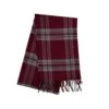 Tynecastle Park Tartan Scarf
